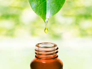 メンズ向け 10年後の頭皮へ投資するオーガニックワックスおすすめ4選 6 Lifestyle More